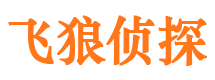 长江新区市私家侦探